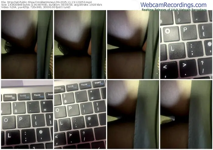 2025/11/13/stripchat-hiddenhoneyldn-12-32-53