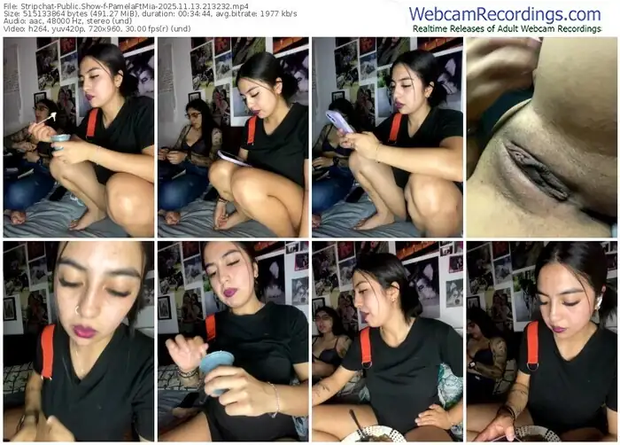 2025/11/13/stripchat-pamelaftmia-21-32-32