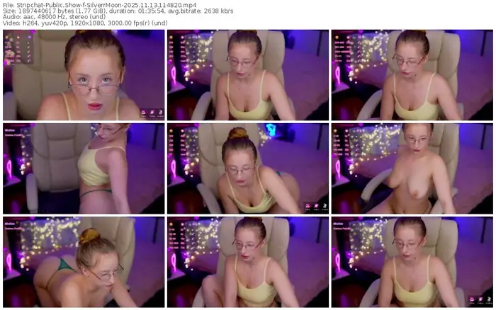2025/11/13/stripchat-silverrmoon-11-48-20