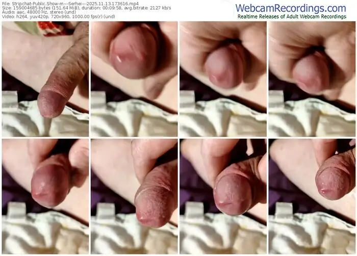 2025/11/13/stripchat---serhei---17-36-16