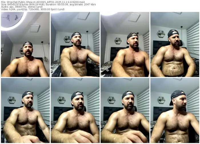 2025/11/13/stripchat-adonis_art01-22-42-00