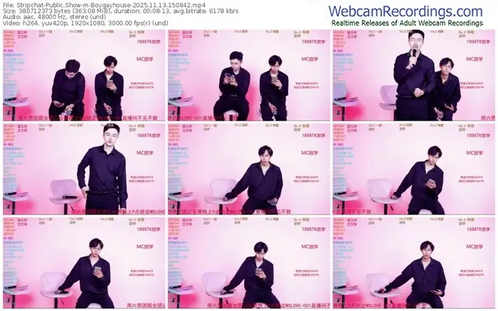 2025/11/13/stripchat-boygayhouse-15-08-42