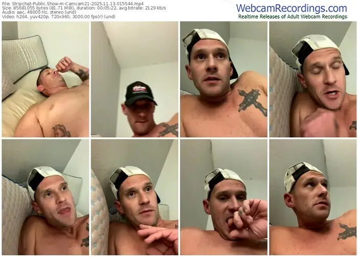 2025/11/13/stripchat-camcam21-01-55-44