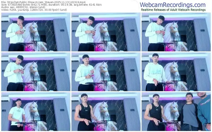 2025/11/13/stripchat-iam_steven-14-13-19