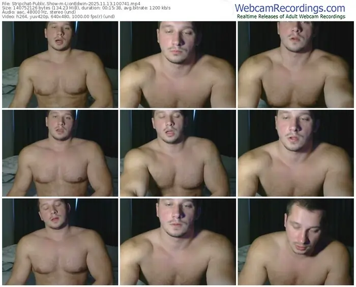 2025/11/13/stripchat-lionedwin-10-07-41