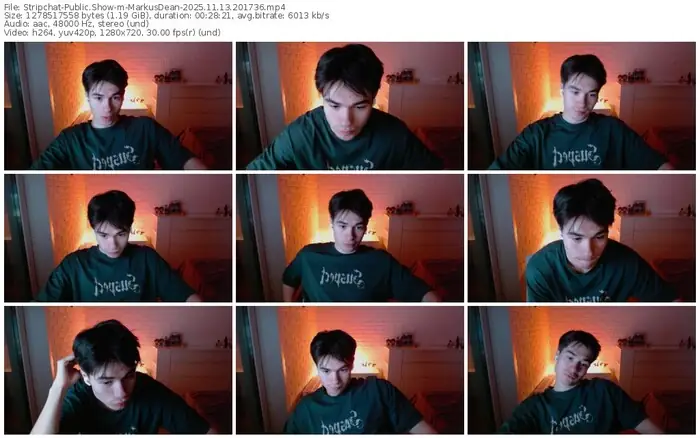 2025/11/13/stripchat-markusdean-20-17-36