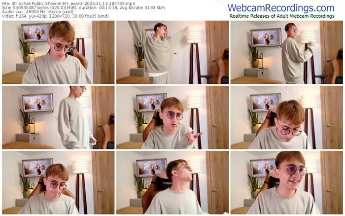 2025/11/13/stripchat-mr_evan1-18-47-33