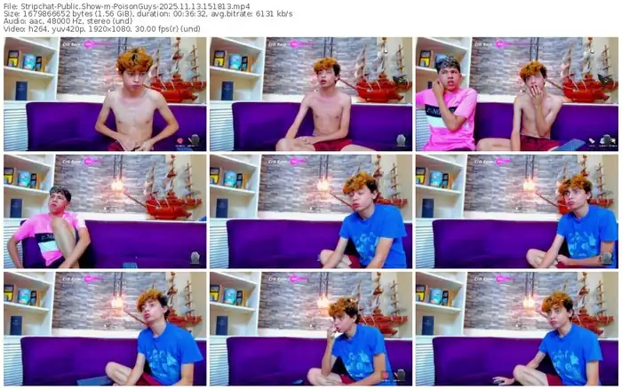 2025/11/13/stripchat-poisonguys-15-18-13