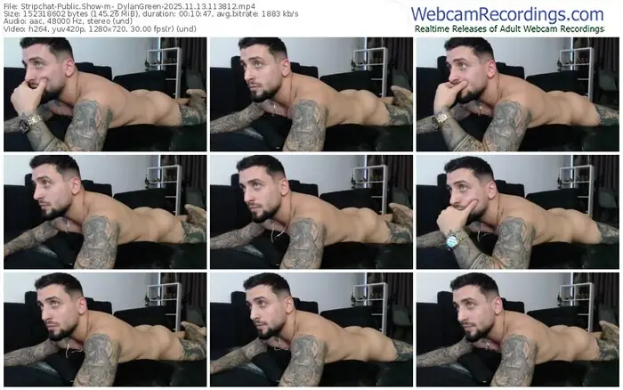 2025/11/13/stripchat-_dylangreen-11-38-12
