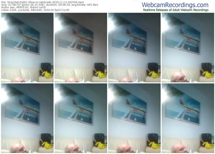 2025/11/13/stripchat-iambradz-18-25-36