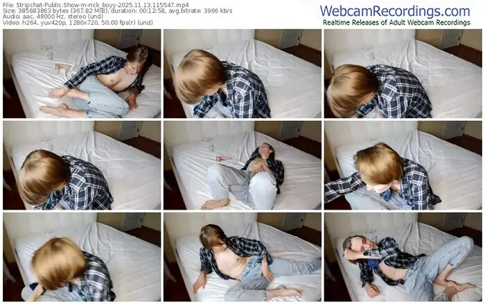 2025/11/13/stripchat-rick_boyy-11-55-47