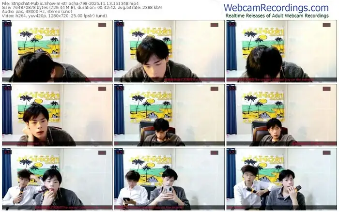 2025/11/13/stripchat-stripcha-798-15-13-48