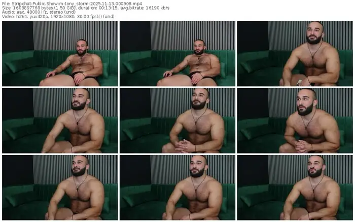 2025/11/13/stripchat-tony_storm-00-09-08