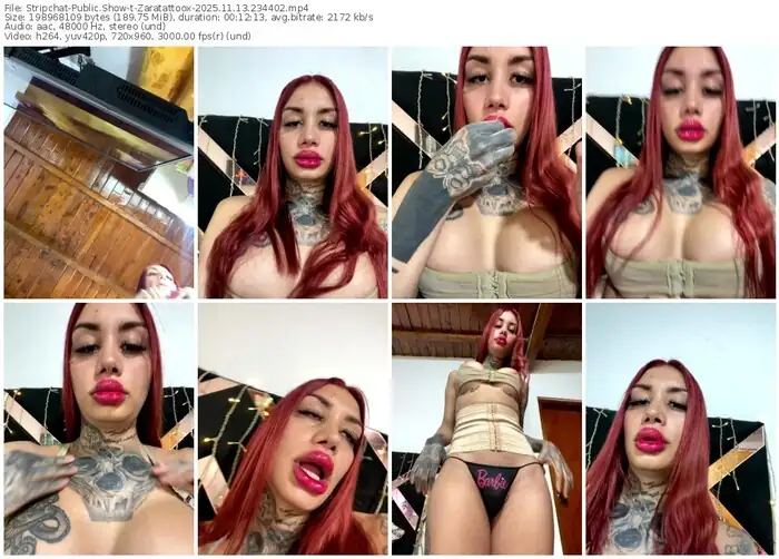 2025/11/13/stripchat-zaratattoox-23-44-02