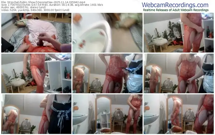 2025/11/14/stripchat-deconetsex-03-59-42