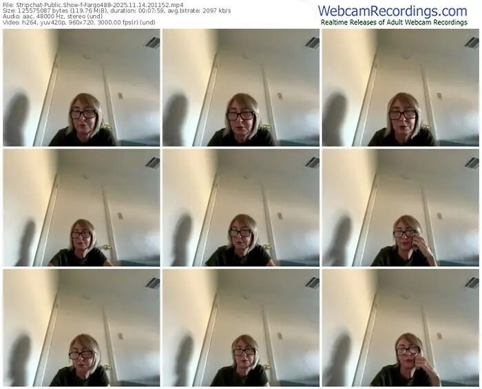 2025/11/14/stripchat-fargo488-20-11-52