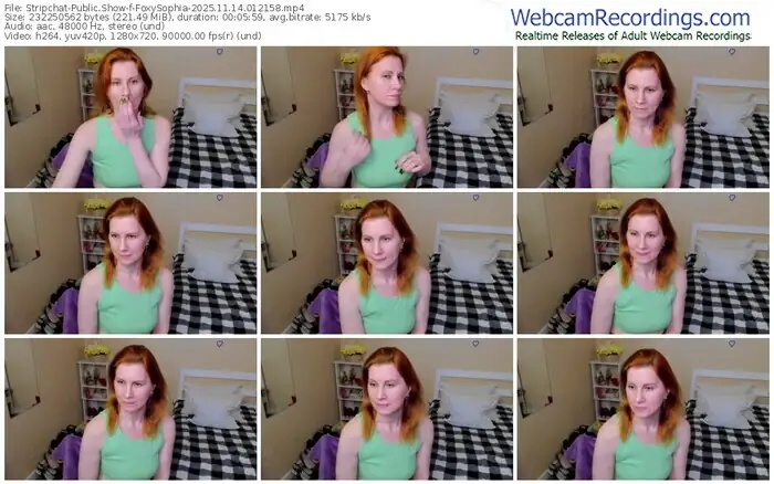 2025/11/14/stripchat-foxysophia-01-21-58