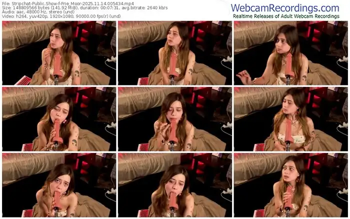 2025/11/14/stripchat-frie_moor-00-54-34