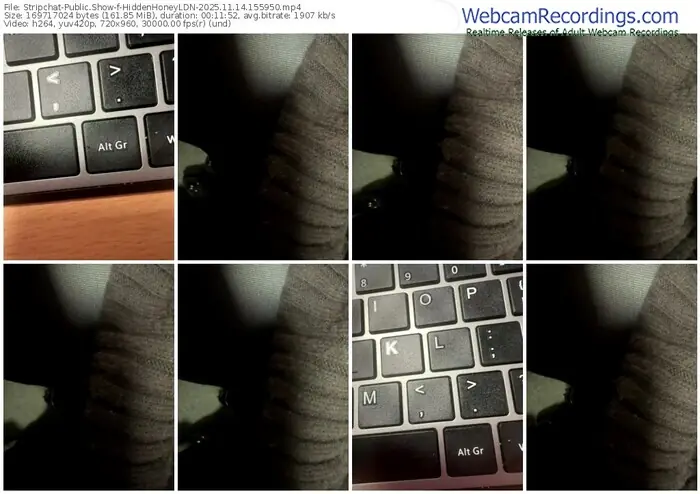 2025/11/14/stripchat-hiddenhoneyldn-15-59-50