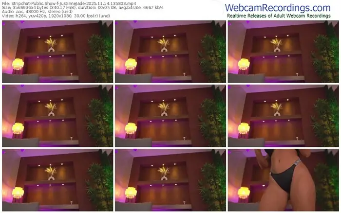 2025/11/14/stripchat-justinnejade-13-58-03