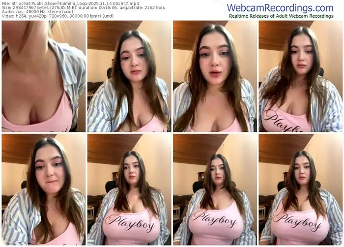2025/11/14/stripchat-kamilla_loop-00-19-47