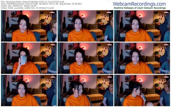 2025/11/14/stripchat-katikate-21-33-15