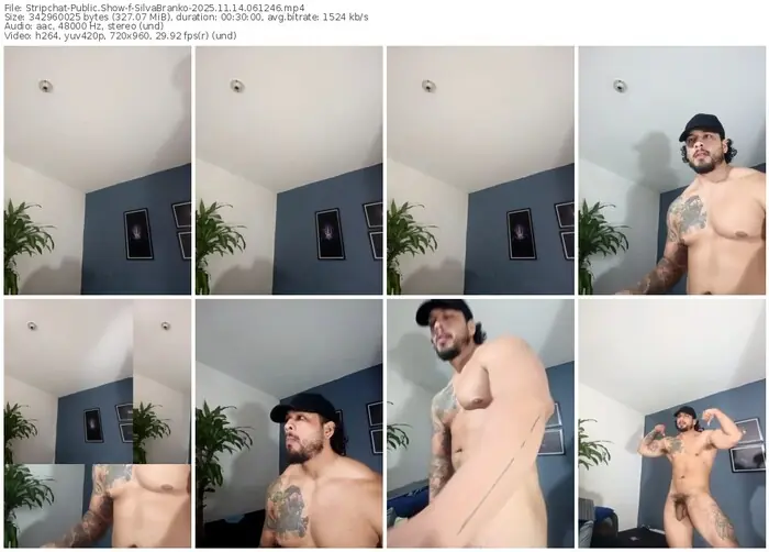 2025/11/14/stripchat-silvabranko-06-12-46