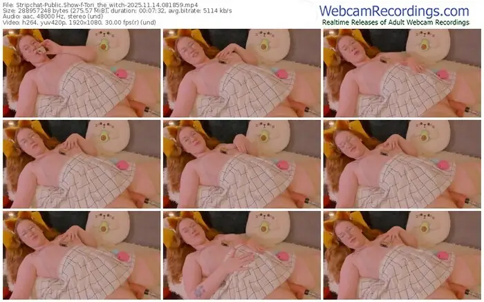 2025/11/14/stripchat-tori_the_witch-08-18-59
