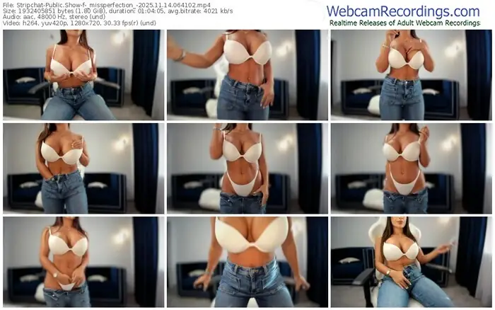 2025/11/14/stripchat-_missperfection_-06-41-02