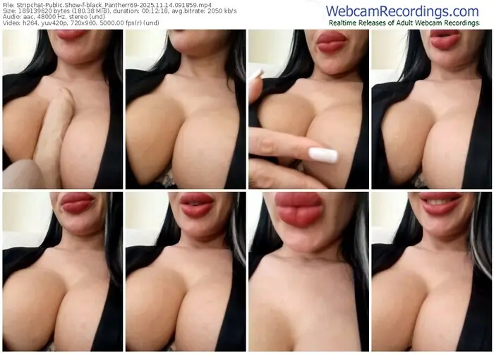 2025/11/14/stripchat-black_pantherr69-09-18-59