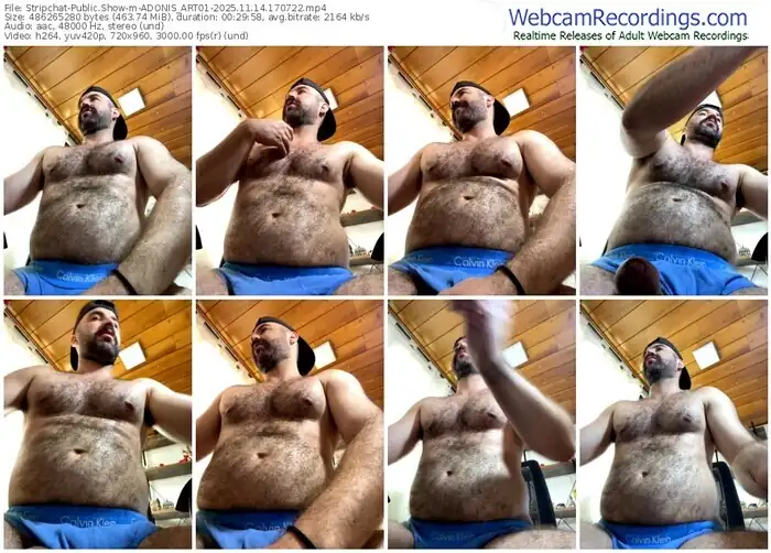 2025/11/14/stripchat-adonis_art01-17-07-22