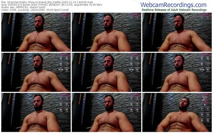 2025/11/14/stripchat-david_big_daddy-14-29-24