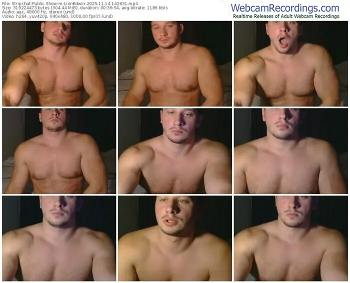 2025/11/14/stripchat-lionedwin-14-26-31