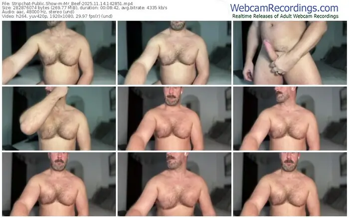 2025/11/14/stripchat-mr_beef-14-28-51