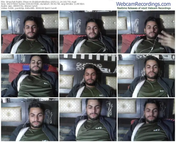 2025/11/14/stripchat-stubborndesiboy-10-17-01