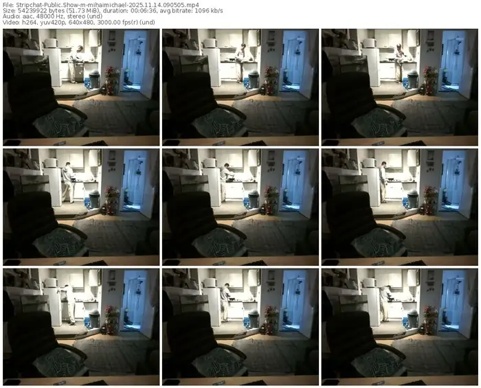 2025/11/14/stripchat-mihaimichael-09-05-05