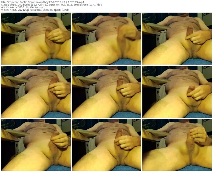2025/11/14/stripchat-wolfboy12-16-26-23
