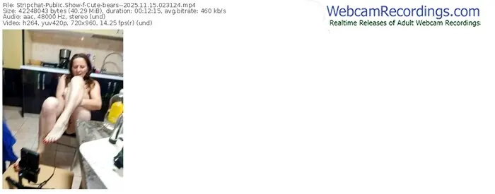 2025/11/15/stripchat-cute-bears--02-31-24