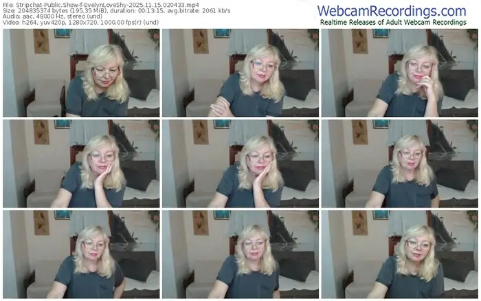 2025/11/15/stripchat-evelynloveshy-02-04-33