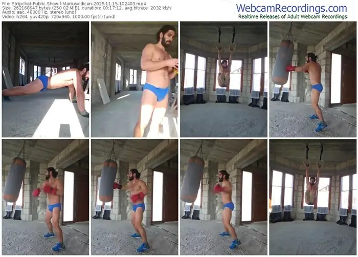 2025/11/15/stripchat-mariusvidican-10-24-03