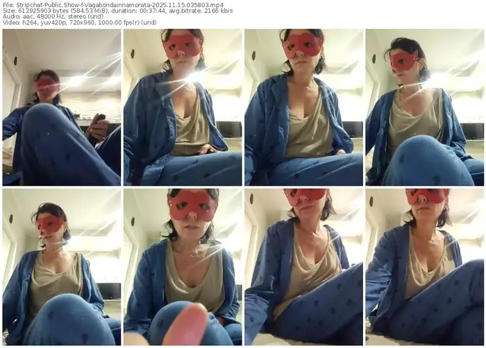 2025/11/15/stripchat-vagabondainnamorata-03-58-03