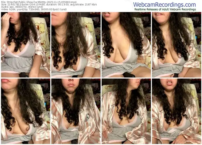 2025/11/15/stripchat-w3tkittty-05-58-03