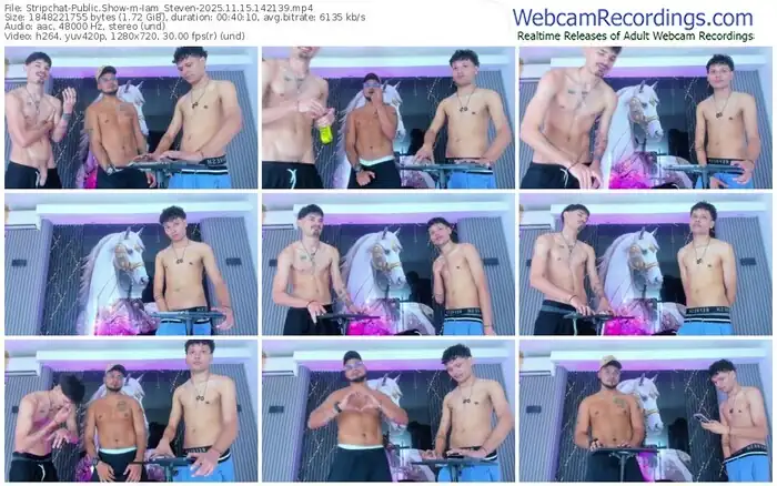 2025/11/15/stripchat-iam_steven-14-21-39