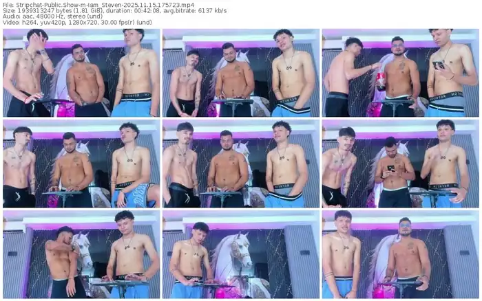 2025/11/15/stripchat-iam_steven-17-57-23
