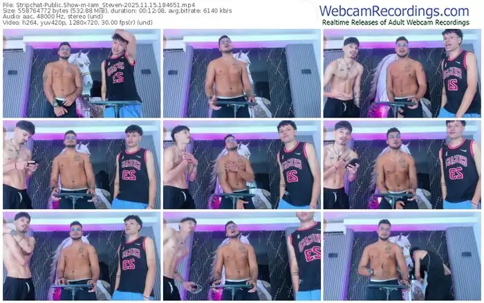 2025/11/15/stripchat-iam_steven-18-46-51