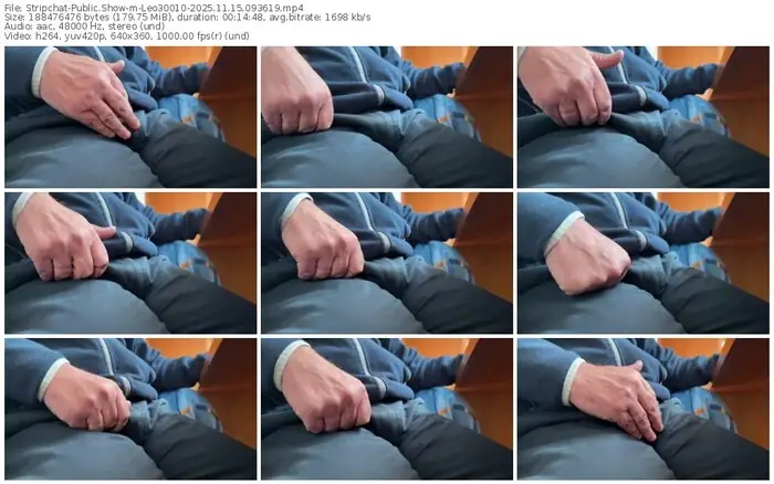 2025/11/15/stripchat-leo30010-09-36-19