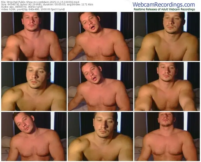 2025/11/15/stripchat-lionedwin-10-03-32