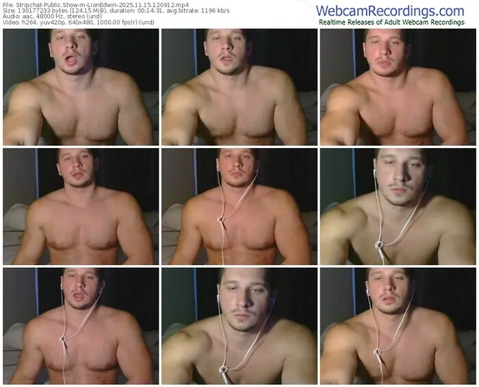 2025/11/15/stripchat-lionedwin-12-09-12