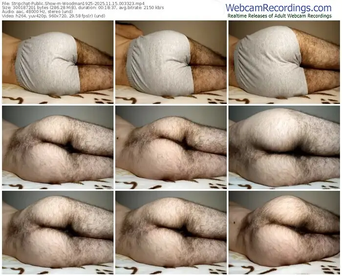 2025/11/15/stripchat-woodman1925-00-33-23