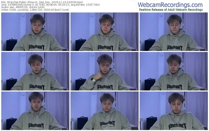 2025/11/15/stripchat-_bee_boy_-14-20-39
